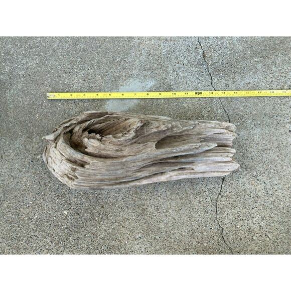 Ohio River Driftwood 13"x4.5"x5.5" - Picture 2 of 3